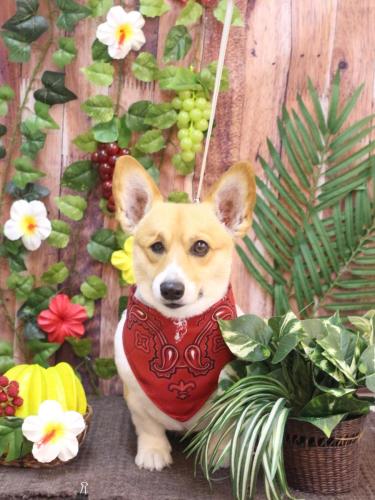 20230801はるちゃん